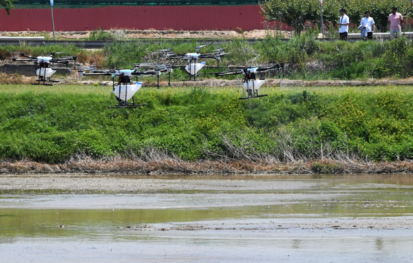 김포공항 관제권으로 설정돼 농작물 방제에 드론 활용이 어려운 김포지역 농업인들이 정부와 관계기관에 제도 개선 및 장비 지원 등을 요구하고 나섰다. 사진은 농업용 드론을 이용해 방제 시연을 하고 있는 모습. /경기사진공동취재단