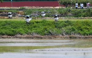 농지, 축구장 40개 크기인데… 드론방제 하루 30분만 하라니