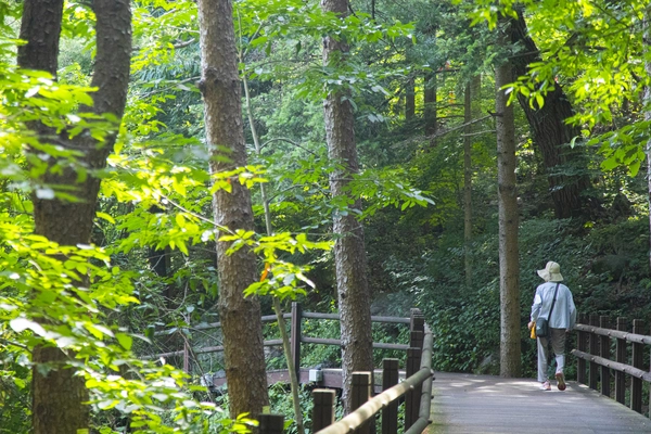 의왕 청계산맑은숲공원/ 경기관광공사 제공.