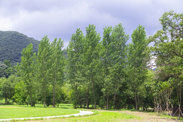 연천 재인폭포 /경기관광공사 제공.