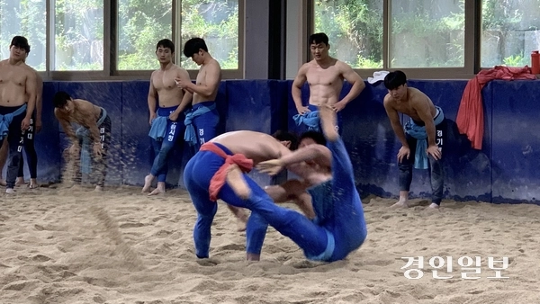경기대 씨름훈련장에서 수원시청 씨름단 선수들이 ‘추석장사씨름대회’를 앞두고 연습 시합을 하고 있다. 2023.8.25 /유혜연기자 pi@kyeongin.com