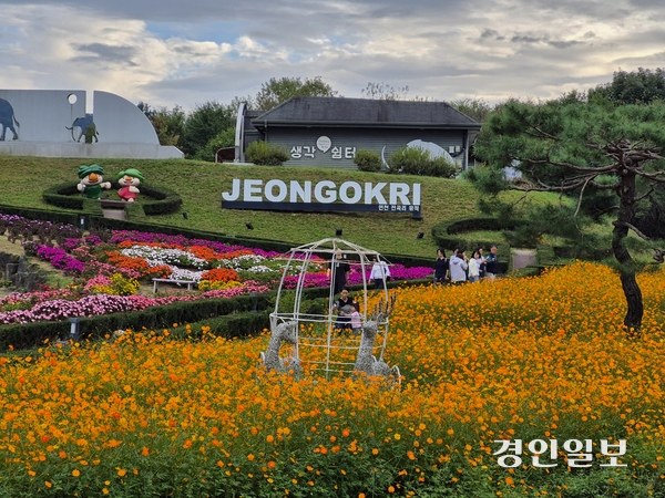 오는 17~26일 연천 국화축제를 앞두고 연천군 선사유적지가 국화 등의 가을꽃으로 새롭게 단장하면서 관람객들을 맞이하고 있다. 2025.10.3 연천/오연근기자 oyk@kyeongin.com