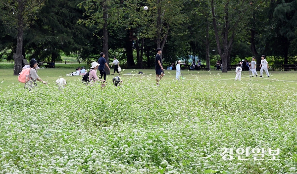 추석 연휴 마지막 날인 9일 오후 수원 탑동시민농장을 찾은 시민들이 즐거운 시간을 보내고 있다. 2025.10.9 /임열수기자 pplys@kyeongin.com