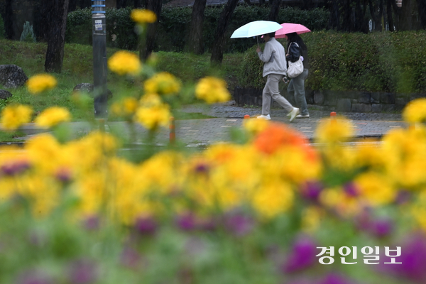가을비가 내린 13일 수원시 영통구청사거리 횡단보도에서 우산을 쓴 시민들이 발걸음을 옮기고 있다. 2025.10.13 /최은성기자 ces7198@kyeongin.com