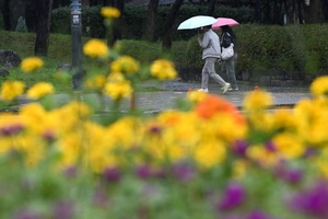 [화보] 가을비 내리는 도심