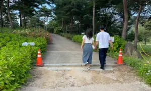 보행약자위해 10억 들였는데… 자라섬 무장애 인프라 ‘부실’ 빈축