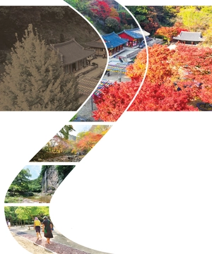 [新팔도핫플레이스] 피부로 직접 느끼는 ‘가을 절경’ 순창 강천산