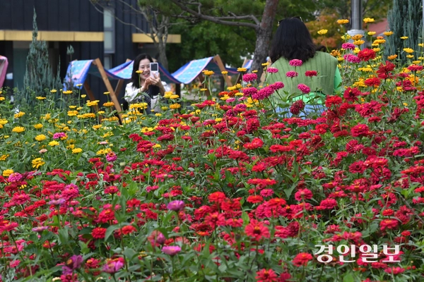 16일 오후 평택시 농업생태원에서 열린 ‘2025 경기정원문화박람회’를 찾은 시민들이 활짝 핀 백일홍 사이를 거닐며 가을 정취를 만끽하고 있다. 2025.10.16 /최은성기자 ces7198@kyeongin.com