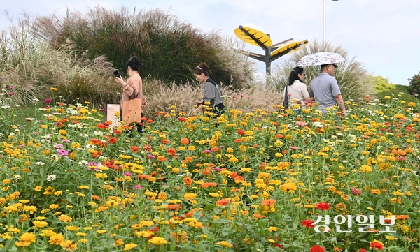 16일 오후 평택시 농업생태원에서 열린 ‘2025 경기정원문화박람회’를 찾은 시민들이 활짝 핀 백일홍 사이를 거닐며 가을 정취를 만끽하고 있다. 2025.10.16 /최은성기자 ces7198@kyeongin.com