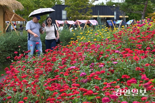 16일 오후 평택시 농업생태원에서 열린 ‘2025 경기정원문화박람회’를 찾은 시민들이 활짝 핀 백일홍 사이를 거닐며 가을 정취를 만끽하고 있다. 2025.10.16 /최은성기자 ces7198@kyeongin.com