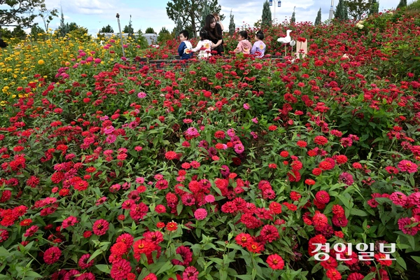 16일 오후 평택시 농업생태원에서 열린 ‘2025 경기정원문화박람회’를 찾은 시민들이 활짝 핀 백일홍 사이를 거닐며 가을 정취를 만끽하고 있다. 2025.10.16 /최은성기자 ces7198@kyeongin.com