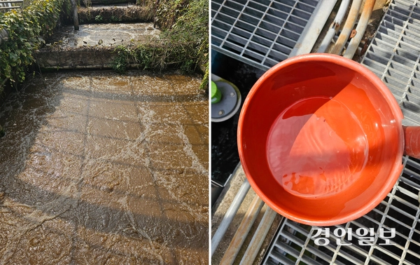 남양주시 화도공공하수처리장 1차 침전지(왼쪽), 하수처리장으로 유입된 하수가 정수과정을 거친 뒤 최종 방류되는 하수는 BOD(생물화학적 산소요구량) 5ppm 이하로 하천에 유입된다. 남양주/이종우기자 ljw@kyeongin.com