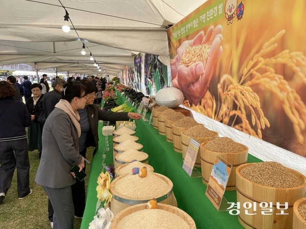 22일 가평군 자라섬 서도 잔디광장에서 열린 제32회 가평군 농업인 한마당 큰 잔치에 참석한 농업인 등이 행사장 내에 마련된 가평 우수농산물 전시장을 둘러보고 있다. 이날 우수농업인 시상식에서는 이성우(설악면)씨가 최우수상의 영예를 안았고 우수농산 품평회에서는 쌀(참드림) 부문에서 남영우(설악면)씨, 포도(캠벨얼리)부문에서 김종순(조종면)씨, 사과(후지) 부문에서 정태호(설악면)씨가 각각 최우수상을 받았다. 2025.10.22 가평/김민수기자 kms@kyeongin.com