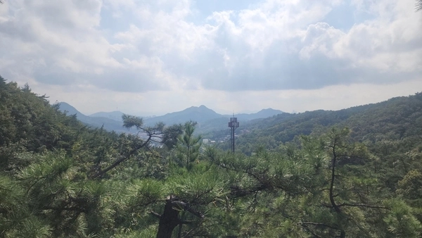 삼각산 금선사 일주문 옆에서 바라본 도성 안 백악산과 인왕산 전경. /최철호 소장 제공