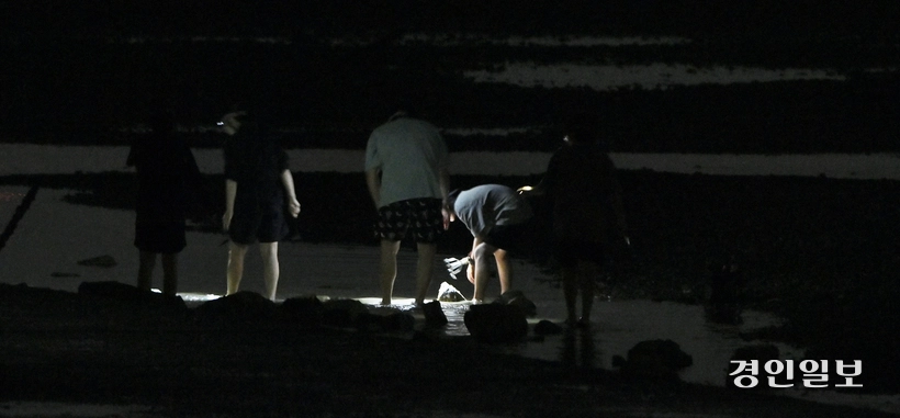 보호장비 없이 해루질을 하는 방문객도 손쉽게 찾아볼 수 있다. /조재현기자 jhc@kyeongin.com