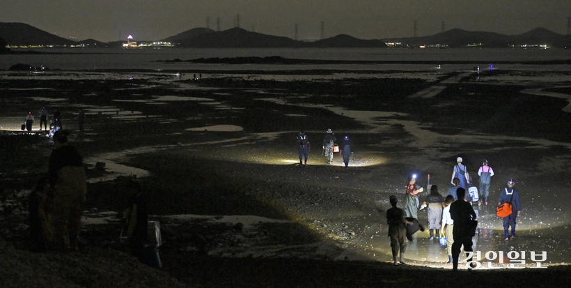 영흥도와 선재도 사이 좁은 수로에 바닷물이 빠지면 동호인, 지인, 가족 여행객 등 수많은 이들이 불을 켜고 바다로 간다. /조재현기자 jhc@kyeongin.com