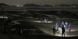 [포토&스토리] 무분별한 해루질, 어민들 눈엔 해적질