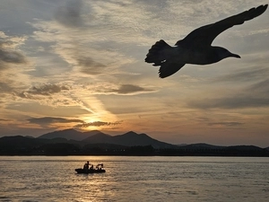 [현장르포] 바다로 열린 김포, 70년 만의 대명항 항해… ‘뱃길’ 따라 흐른 ‘감동’