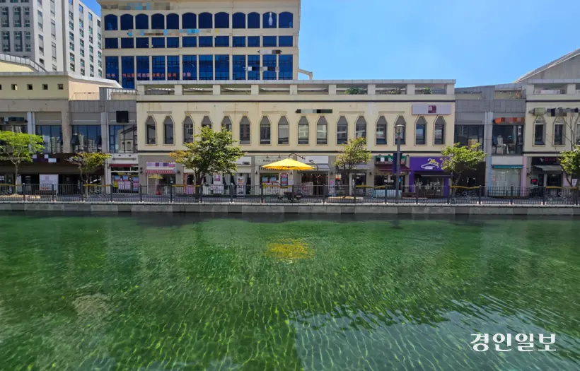 라베니체의 한 상인은 “강화도에 놀러갔다 들렀다는 손님들이 많다”고 설명했다. 2025.9.25 /김성주기자 ksj@kyeongin.com