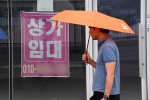 정책실패 ‘공실섬’ 오명… 대가는 투자자 몫인가