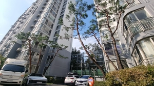 ‘10년째 고통’ 북부간선도로 방음터널 하세월