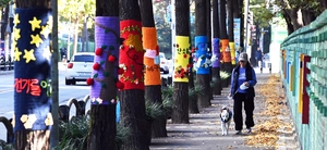 [포토] 겨울 나무의 뜨개룩