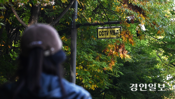 4일 수원시 권선구의 한 거리에 설치된 방범용 CCTV가 나뭇잎에 가려 제 기능을 하지 못한 채 방치되고 있다. 2025.11.4 /최은성기자 ces7198@kyeongin.com