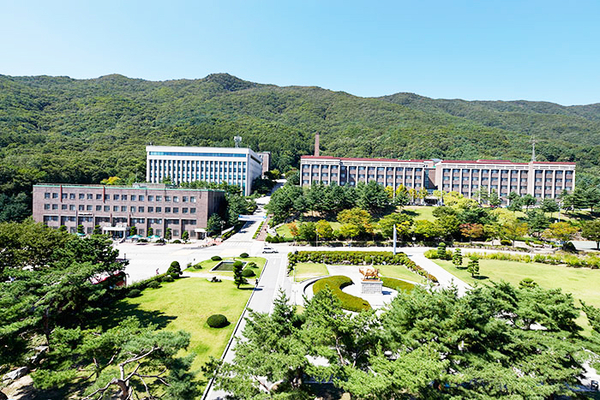 대진대학교 전경. /대진대학교 제공