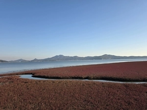 지역의 정서, 청산별곡을 낳다 [강화 속 고려를 찾아서·(16)]