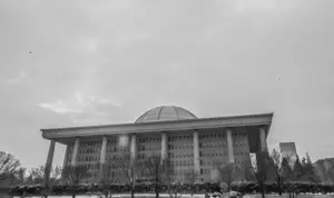 [사설] 헌재의 헌법불합치 법률 방치하는 국회