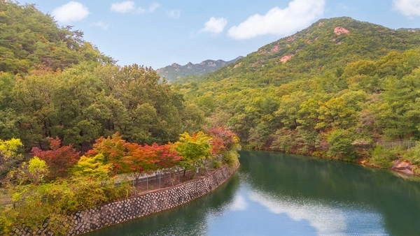서울대 안양수목원 전경. /안양시 제공