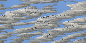 물길도, 논의도 막힌 한강 수중보… ‘수심·안보’ 고차방정식 과제