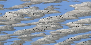 물길도, 논의도 막힌 한강 수중보… ‘수심·안보’ 고차방정식 과제