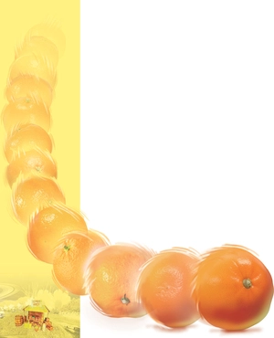 [新팔도핫플레이스] 오감 만족 제주 감귤박물관