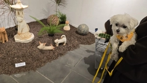 충남 보령으로 간 강화도 미술관, ‘반려유감 : 짝이 되는 동무’ [인천문화산책]