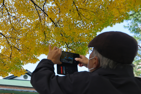 한 컷으로 가을 담기
