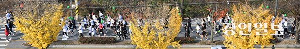 9일 오전 안성 종합운동장에서 열린 ‘제25회 안성맞춤 전국마라톤대회’에 참가한 마라토너들이 노랗게 물든 은행나무 길을 달리며 가을 정취를 만끽하고 있다. 경인일보사와 안성시체육회가 공동주최하고 안성시육상연맹이 주관한 이번 대회는 마라토너와 가족 등 7천여명이 넘는 참가자들이 모인 가운데 성대히 개최됐다. 2025.11.9 /임열수기자 pplys@kyeongin.com