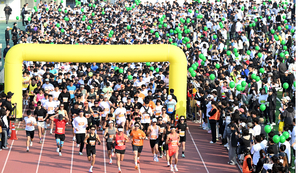 [안성맞춤 전국마라톤] 올해도 역대급 러닝… ‘황금빛 카펫’ 낭만 누볐다