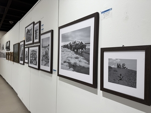 인천이란 렌즈로 본 현대사진 파노라마… ‘2025 인천국제현대사진기획전’ [전시리뷰]