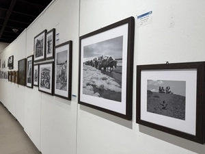 인천이란 렌즈로 본 현대사진 파노라마… ‘2025 인천국제현대사진기획전’ [전시리뷰]