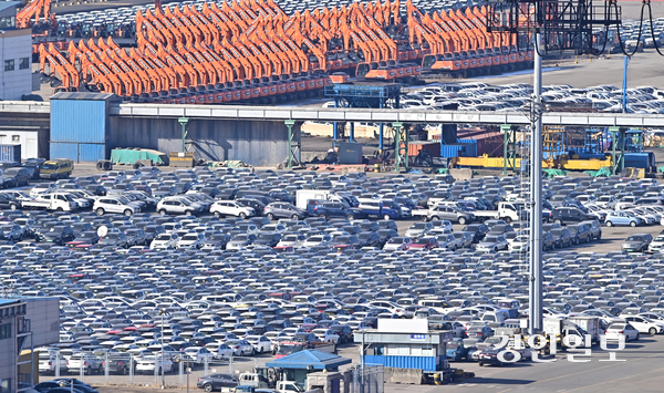 인천항만공사는 중고차와 같은 인천항 특화화물 운송에는 북극항로가 도움이 될 것으로 판단, 관련 용역을 진행한다는 방침이다. 사진은 인천항 내 적치된 중고차량들의 모습. /경인일보DB