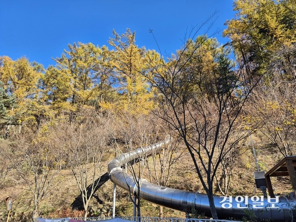 동두천 자연휴양림과 연계된 놀자숲의 익스트림 슬라이드. 2025.11.11 동두천/오연근 기자 oyk@kyeongin.com