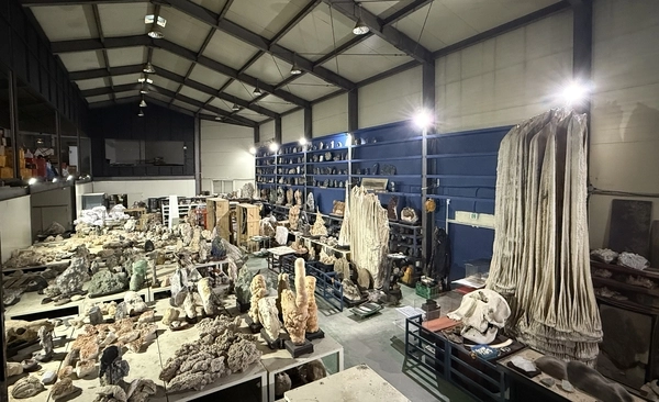 우석헌자연사박물관 수장고 전경. 2025.11.4 남양주/이종우기자 ljw@kyeongin.com