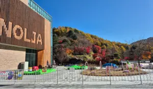 동두천 자연휴양림 ‘힐링타임’… 수도권 대표쉼터 ‘인기몰이’