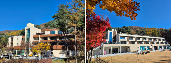 동두천 자연휴양림 ‘힐링타임’… 수도권 대표쉼터 ‘인기몰이’