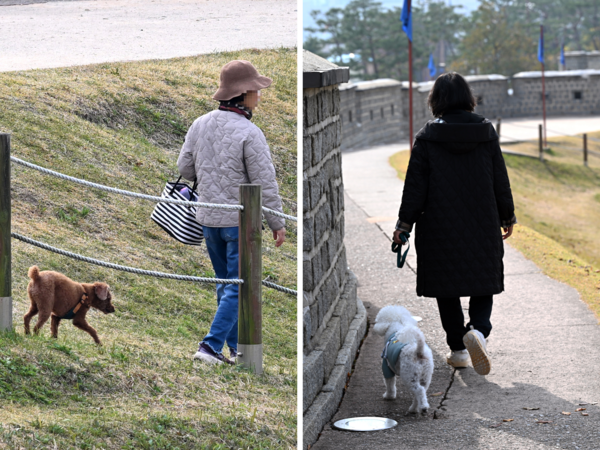 ‘목줄 없는 외출’ 과태료