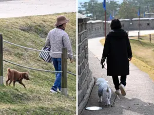 [포토] 과태료 따라오는 ‘목줄 없는 외출’