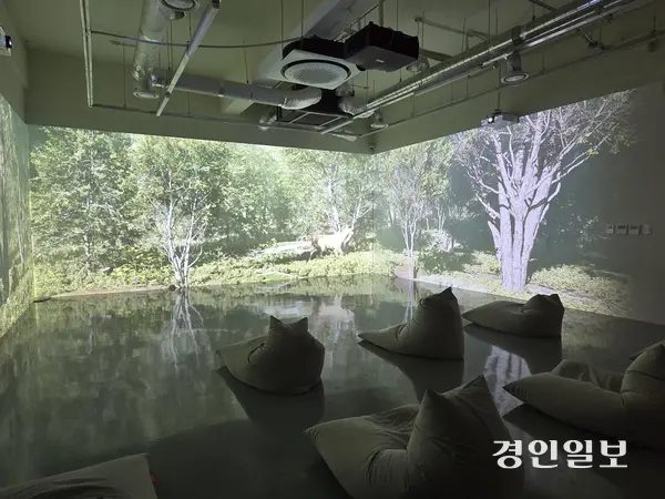 경기창작캠퍼스 미디어 아트전시 ‘소금과, 갯골, 그리고 물의 시간’ 전경. 2025.10.29 /이시은기자 see@kyeongin.com