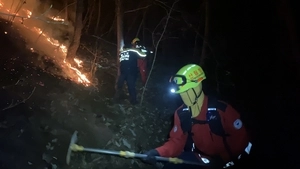 양평 청운면 야산 산불…3시간 30분 만에 진화