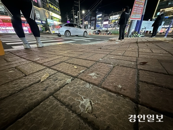 수원시 영통구 아주대삼거리 인근 인도가 떼까마귀 배설물로 뒤덮여 있다. 2025.11.11 /목은수기자wood@kyeongin.com